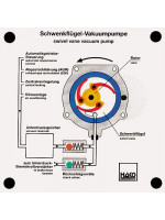 Schwenkflügel-Vakuumpumpe