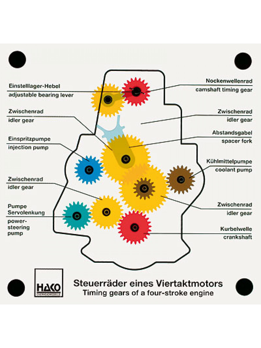 Timing gears of a four-strike engine