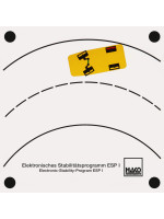 Elektronisches Stabilitätsprogramm (ESP)